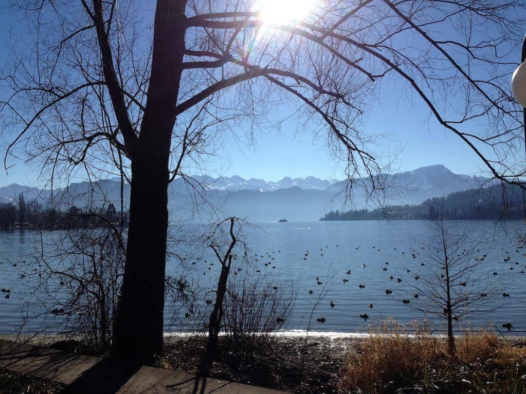 Villa Maria Lucerne Bagian luar foto
